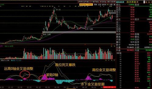 炒股怎么看MACD?