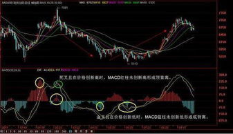 股票中macd线中dif是哪个线