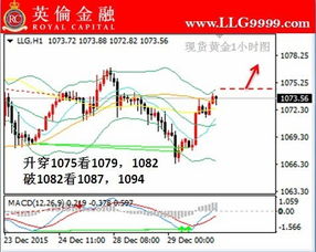 求资料丰富的黄金论坛推荐一家实力好点的黄金投资公司？