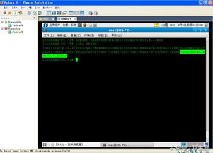 Linux命令行安装dmg,在Liux中，dmg文件是一种用于在MacOS中分发软件的磁盘映像格式