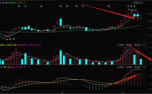 关于你是否适合在股市中生存的解析之特别版 业余和专业的分界线