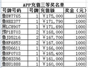 闪闪的车牌 91名 好司机 最高获山东交警奖励万元