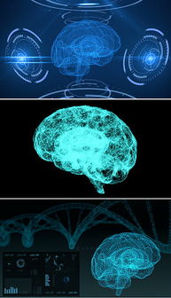 JPG大脑创意 JPG格式大脑创意素材图片 JPG大脑创意设计模板 我图网 