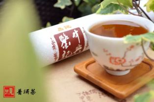 重庆普洱熟茶保存,在重庆,普洱茶怎么样存放最佳,最佳湿度在哪个区间