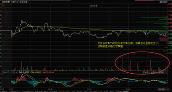 圣农发展有大单买入但是股票没涨？