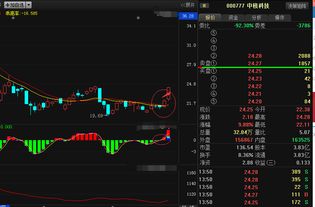 谁能告诉我09年8月中核科技发生了什么事,为什么股价会变到那么低?