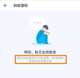 你好,为什么我的借呗突然没有信用额度了 