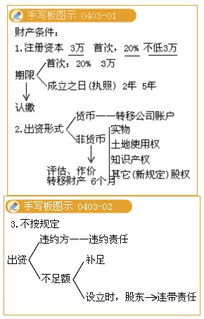 请问会计基础里的公司法规定所有股东的出资额必须占到股本的百分之多少？