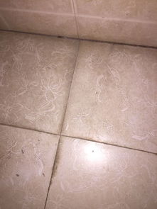 如何清除卫生间瓷砖上的水渍 用洁厕灵还有清洗地板的并没有多大效果 