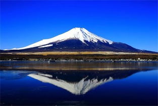 广州直飞日本名古屋 本州6天5晚樱您心动双古都之旅跟团游 精心安排机器人酒店 赏樱花好季节 温泉酒店