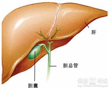 现在医学这么发达，为什么治不好胆囊炎(医学这么发达为什么好多病治不好)