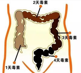 亚健康不算病,但如果你不调理可能会要命