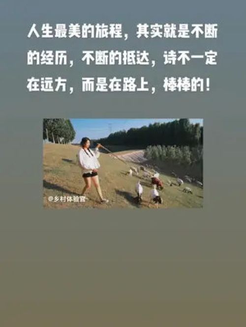 人生奔波的励志诗句—为了生活奔波的诗句？