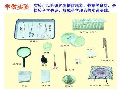 初中生物苏科版7年级上册第一章第二节 生物的基本研究方法 20张 