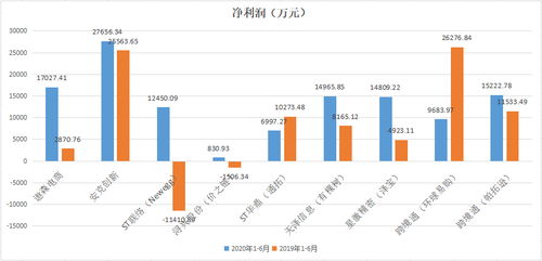 国邦医药上半年营收略有增长