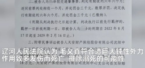 男子缓刑期酒驾撞人抛尸被判六年半,家属质疑量刑过轻,法院回应