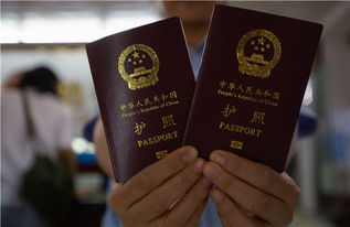 办理护照多少天能拿到,普通护照的办理时