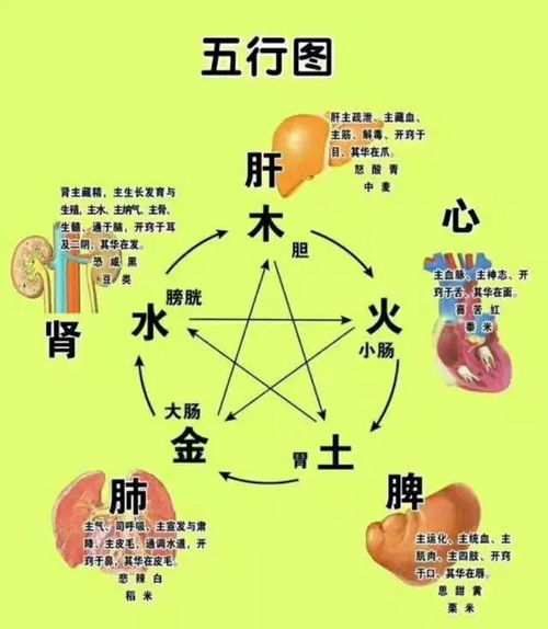 丽珠小儿肺热咳喘颗粒