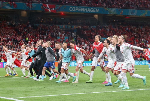 2024欧洲杯丹麦vs塞尔维亚推荐,2021欧洲杯丹麦vs威尔士