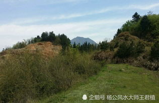 南昌风水大师 龙吐珠风水大地,王君植风水大师江西寻龙点穴看风水案例