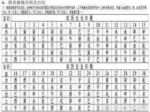 中国传统文化推命术之紫微斗数