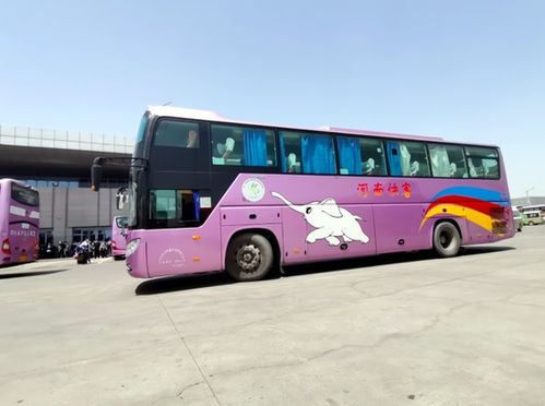 五一假期 郑州各汽车站发送旅客49.39万人次