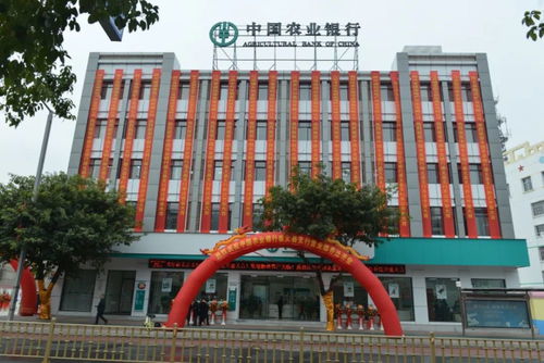 中国农业银行崇义县支行新址开业