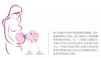 4000名免费名额,人民医院和妇幼保健院均可进行检测