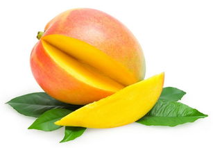 芒果是热带水果吗,哪些水果不是热带水果的？
