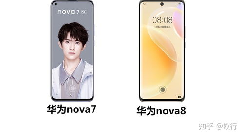 华为nova7耳机怎么戴,正确的佩戴方法 华为nova7耳机怎么戴,正确的佩戴方法 币圈生态