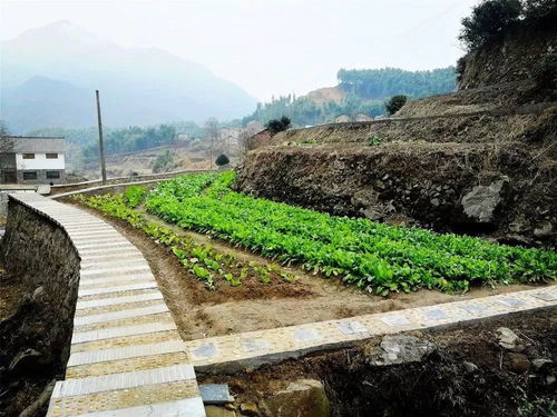 湖北旅游名村大蕲就只这个村上榜,不服的站出来