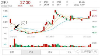 如果在03年用20万买万科股票会收益多少