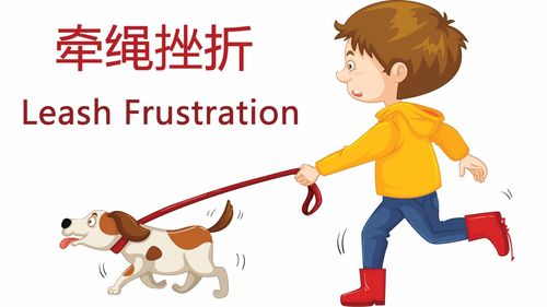 牵绳挫折 leash frustration