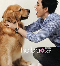 韩国明星宠物的第一次亲密接触 宠物与明星到底哪个更惹人爱 