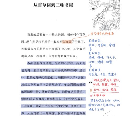 学霸笔记 手绘漫画,让孩子解决语文学习中考点多 易失分的点