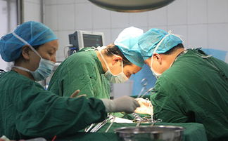 剖宫产手术(剖腹产手术属于几级手术)