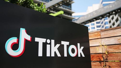 TikTok Shop英国站小店简介_tiktok廣告收入