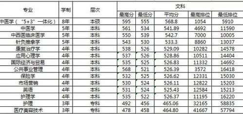 湛江学院录取分数线(湛江有什么大学)