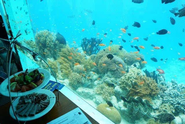 海底马尔代夫旅游(马尔代夫周边景点)（马尔代夫海底餐厅是哪个岛）