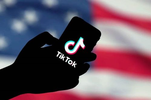 被TikTok带火的产品特点_tiktok美国账号购买