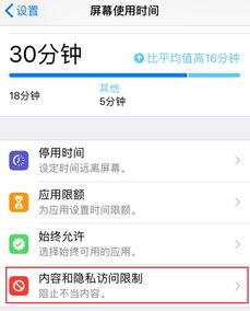 iOS 12 如何关闭应用内购,防止扣费