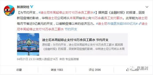 为什么人们会买涨不买跌呢?请看完我的分析再发表！