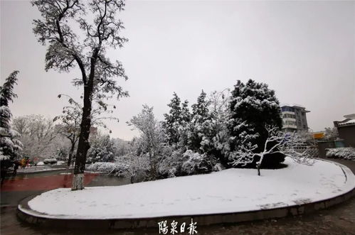 有图有真相 阳泉今冬初雪 美了一座城