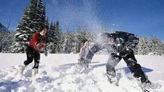 走进冰雪世界,体验东北乡村生活,玩玩狗拉爬犁,滑过漫天冰雪,这个寒假,我们不一样 