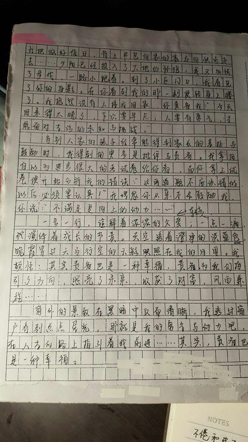 寄托了人们无尽的情思作文