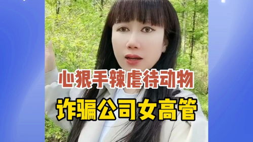 诈骗公司女高管 心狠手辣冷血无情