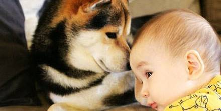 有爱 宠物和宝宝在一起就是超级有爱啊