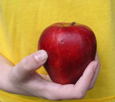 春夏养生指南 健康饮食9原则 红色果蔬加按摩