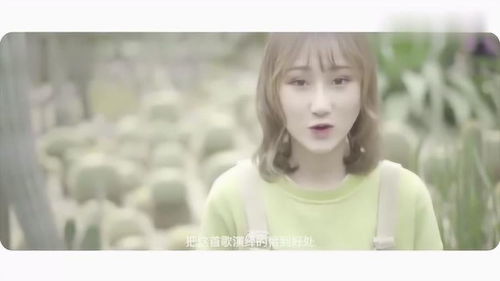 全网最火的歌曲 绿色 ,英文版本的原来这么的好听 不错哦 