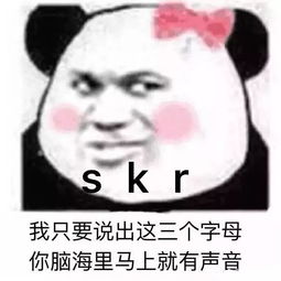 skr什么梗,最近流行的skr是什么意思？-第2张图片